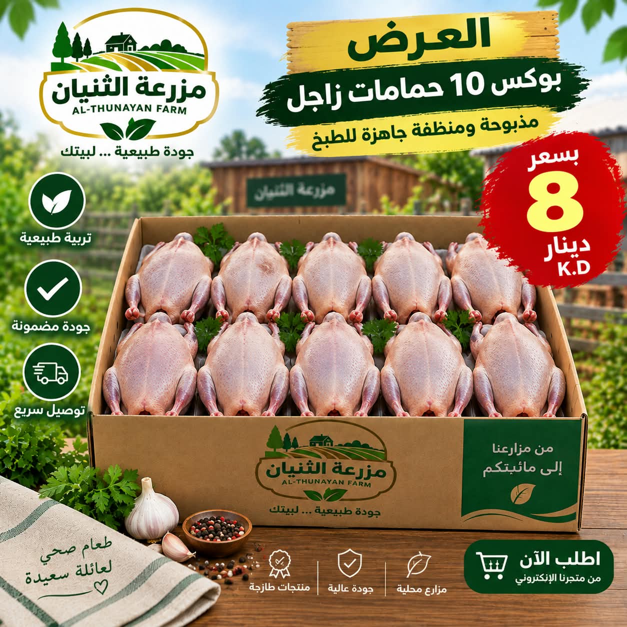 Box of 10 homing pigeons